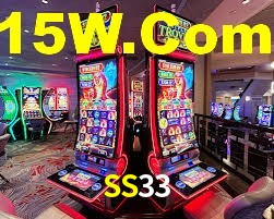 SS33
