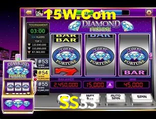 SS33